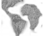a rock gyökere